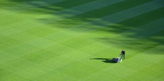 7 Steps To Keep Your Lawn Healthy And Fresh All Year Round
